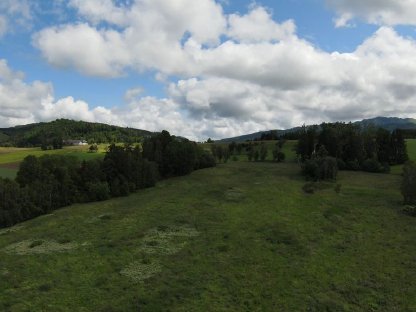 Bild 2:Landwirtschaft 6 ha Alleinlage Nähe Gmunden
