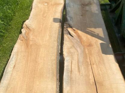 Bild 6:Bergahorn Pfosten