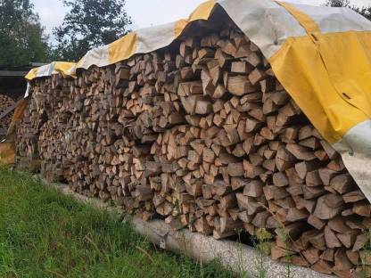 Bild 4:Brennholz Buche