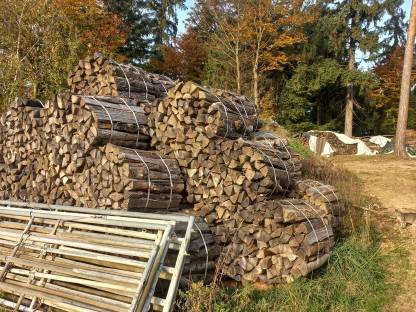 Bild 7:Brennholz