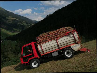 Bild 6:Trunkenpolz ALG90