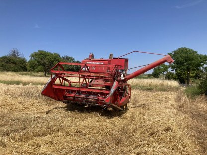 Massey Ferguson MF 87 Mähdrescher
