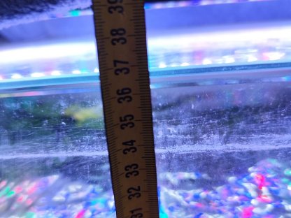 Bild 8:Aquarium mit kompletter Deko, Filter, Füllspektrum, Lampe