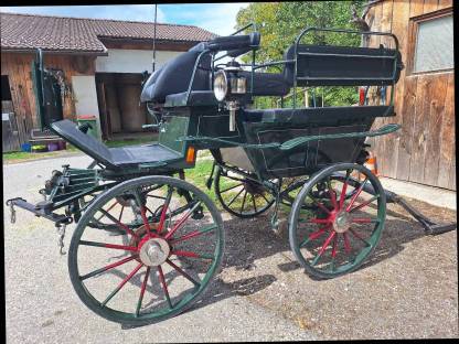 Wagonette, Kutsche