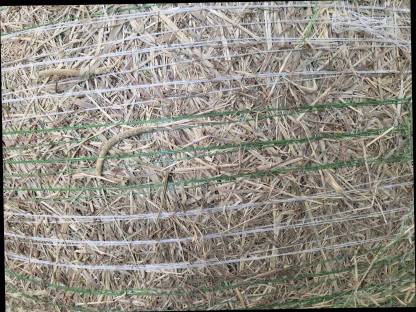 Bild 2:Heurundballen