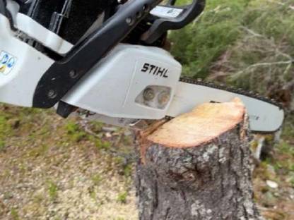 Stihl MS 362C