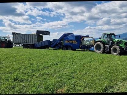 Maissilageballen