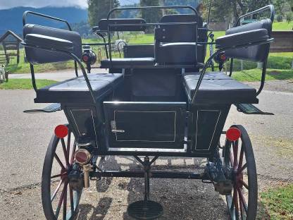 Bild 3:Wagonette, Kutsche