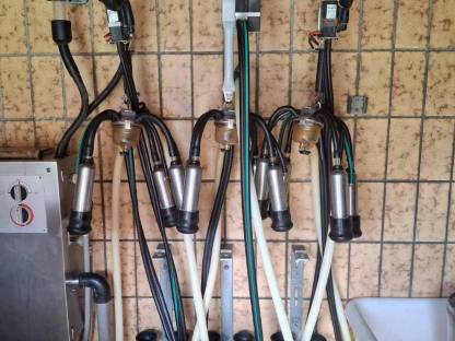 Bild 2:Miele Rohrmelkanlage