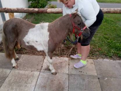 Pony Wallach