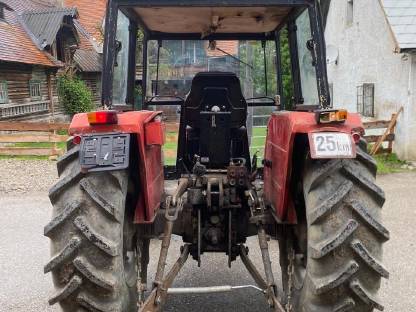 Bild 3:Brennholz Buche, Esche