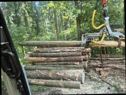 Bild 6:Prozessorbagger