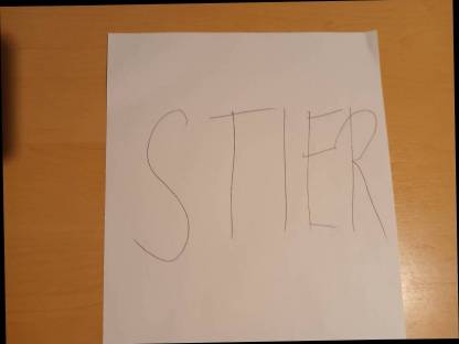 Verkaufe Stier