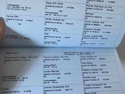 Bild 2:Werner Nero XVII