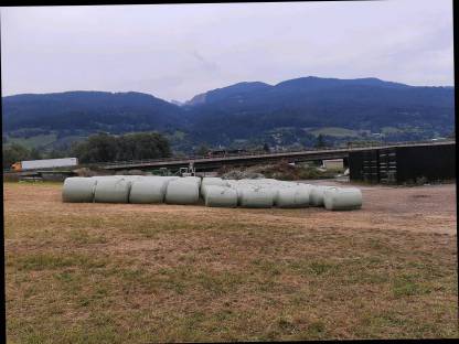 Bild 2:Silo-Maisballen, Apfeltrester, Maissilage-Mix