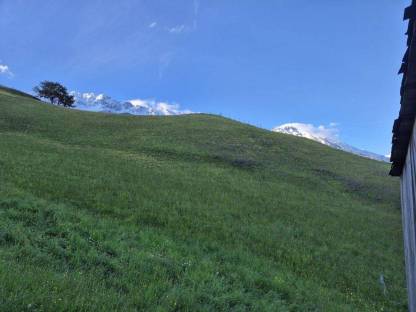 Bild 3:Heuballen, 1. Schnitt, kleine Rundballen, Heu