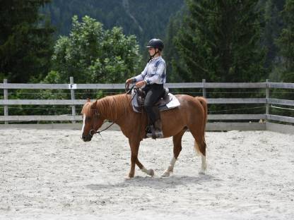Allround Stute 9-jährig