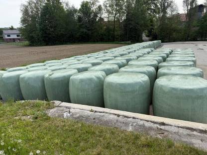 Bild 3:Bio Grassilage, Silageballen, 2025