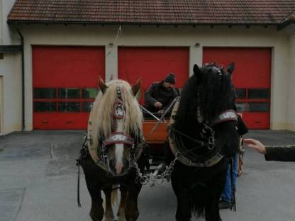 Bild 2:Decksprung Noriker