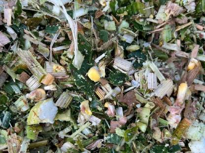 Bild 3:Maissilageballen