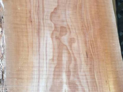 Bild 2:Birnbaum Eichen