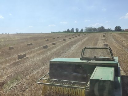 Weizenstroh in kleinen HD-Ballen