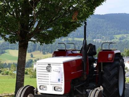 Steyr 548