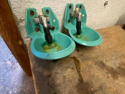 Bild 6:Selbsttränker für Jungvieh