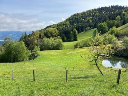 Landwirtschaft