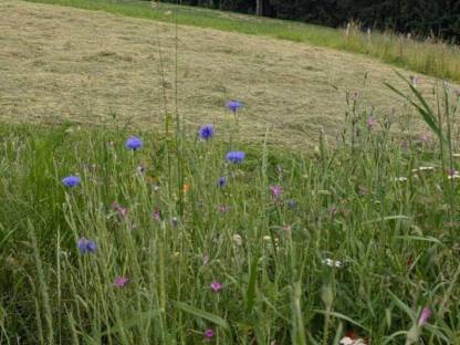 Bild 5:Bio Heu und Grummet