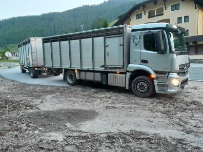 Bild 8:Mercedes LKW Antos 1843