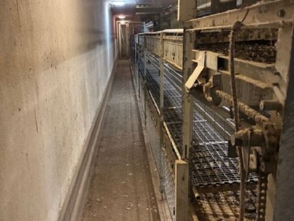 Bild 3:Hühnerstall Voliere