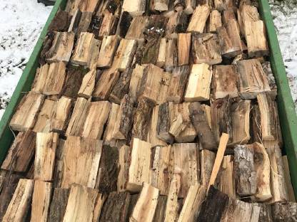 Bild 3:Brennholz hart