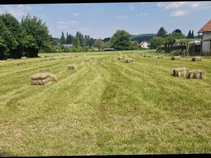Bild 4:Heu