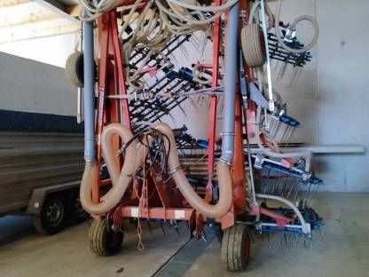 Bild 4:Untersaat, Begrünung Striegel 12 m