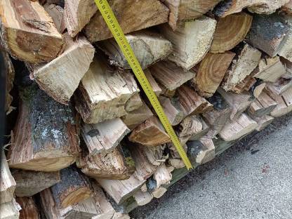 Bild 6:Brennholz, hart