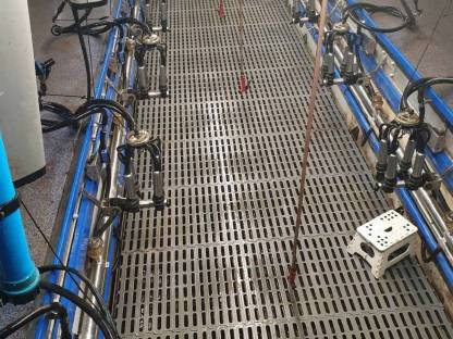 Bild 4:De Laval Melkstand, Bj. 2015