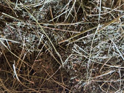 Bild 4:Bio Luzerne-Heu Rundballen