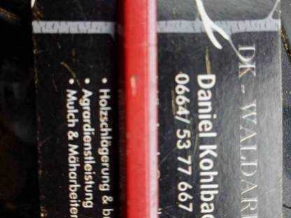 Bild 4:Fendt 310 Forst