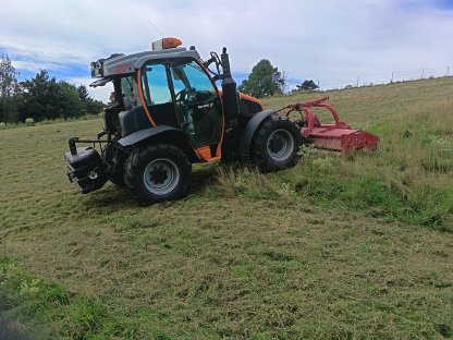 Bild 4:Reform Mounty 100V