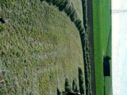 Bild 2:Heu Rundballen