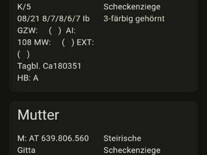 Bild 2:Zuchtbock Steirische Scheckenziegen