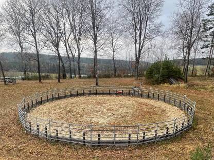 Bild 3:Offenstall Einstellplatz frei