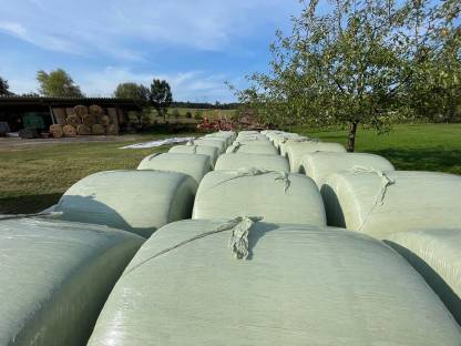 Bild 6:Bio Maisballen Vorbestellung