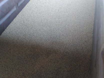 Bild 4:Ackerbohne konventionell 2025