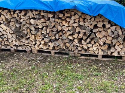 Bild 3:Brennholz