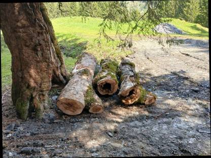 Bild 4:Ahornholz Epoxidharztische