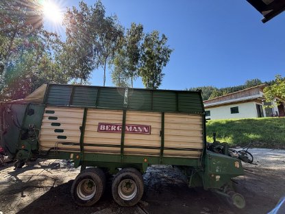 Bergmann Swing 21S