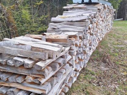 Brennholz Buche