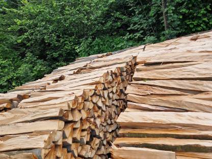 Bild 2:Buchenbrennholz